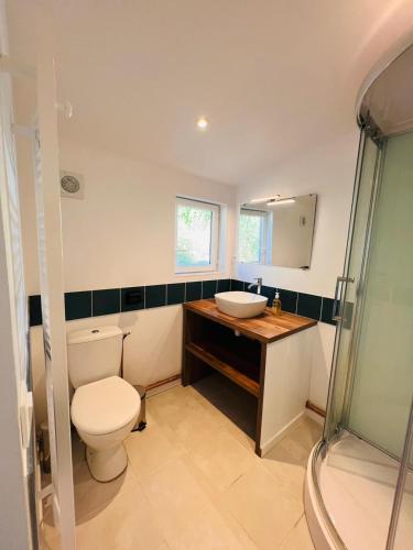 une salle de bain avec toilettes, lavabo et douche dans l'établissement Les Dryades proche de la Mer, à Sainte-Marguerite