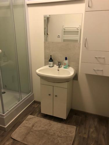 y baño con lavabo y ducha. en Karman Apartman - 2 bedroom entire flat in the center, en Jászberény