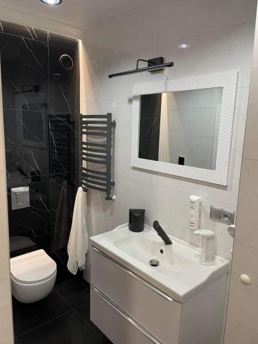 a bathroom with a sink and a toilet and a mirror at Apartament Nadziei in Chmielno