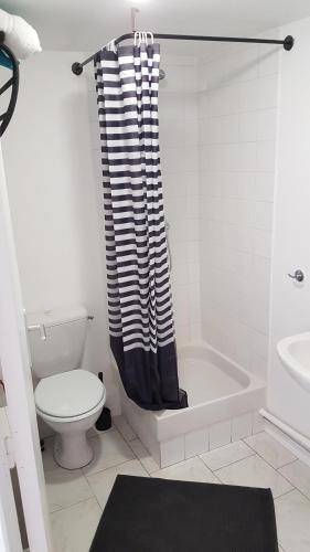 a bathroom with a toilet and a shower curtain at studio les volets bleus in Boulogne-sur-Mer