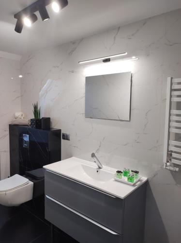 a bathroom with a sink and a toilet and a mirror at Apartament Nadziei in Chmielno