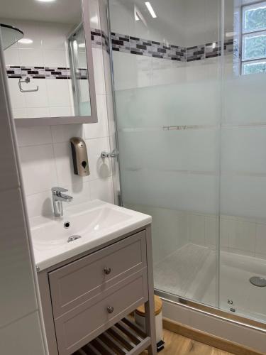 une salle de bain avec un lavabo et une douche dans l'établissement Gîte les Noisetiers Maison familiale avec piscine, à Joze