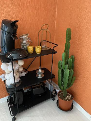 une plante assise sur une étagère à côté d’un cactus dans l'établissement Le NID - Studio Place Emile Zola / parking gratuit, à Dijon