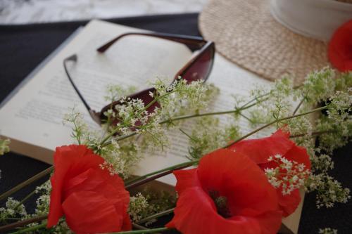 a table with red flowers and a book and glasses at Apart Studio Rambiert in Swarzewo