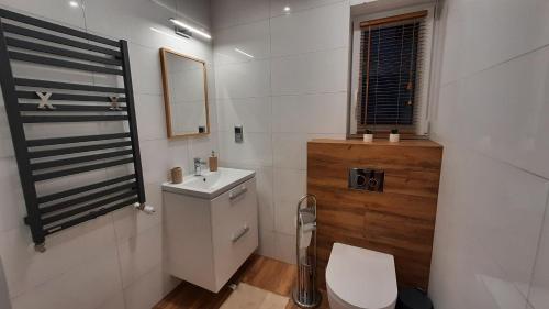 a bathroom with a toilet and a sink and a mirror at Domek Zacisze in Laskowa