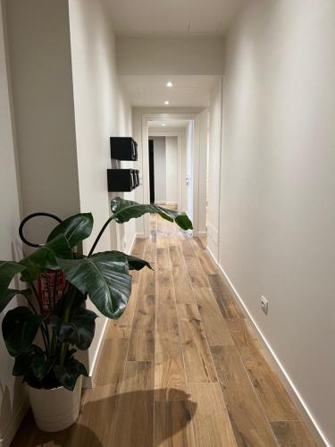 a hallway with a potted plant on the floor at C House Rooms Lake in Peschiera del Garda