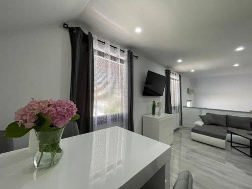 Fotografie z fotogalerie ubytování Apartman Pavenka v destinaci Otočac