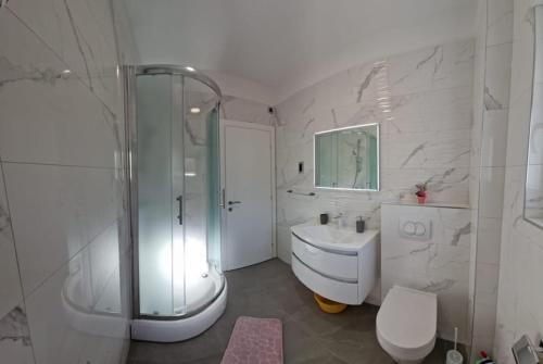 a bathroom with a shower and a toilet and a sink at Apartments Luce - Dome in Split