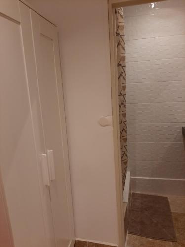 La salle de bains est pourvue d'une douche et d'une porte blanche. dans l'établissement Avignon studio cosy, à Avignon
