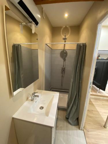 une salle de bain avec un lavabo et une douche dans l'établissement Gîte cosy en milieu rural, à Lavilleneuve-au-Roi