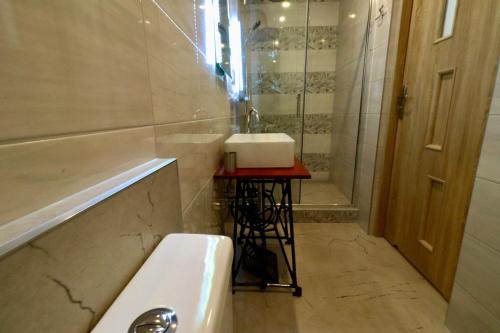 a bathroom with a sink and a bath tub at Karczma Pod Jesionem in Brdów