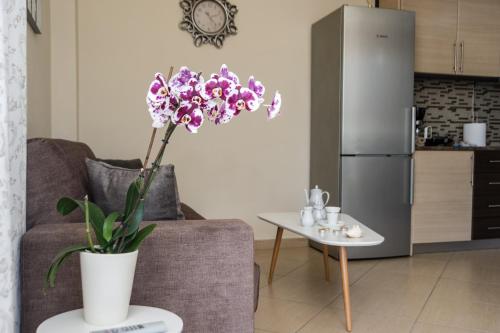 Kuchyň nebo kuchyňský kout v ubytování Kalamata Alex Apartments