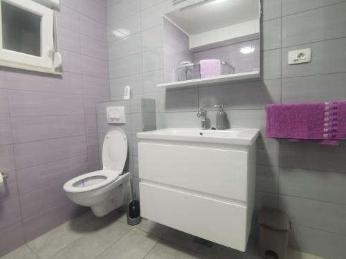 een witte badkamer met een toilet en een wastafel bij Apartman Dany in Kaštela