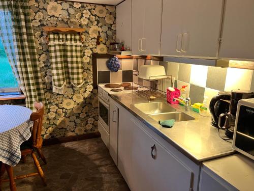 a kitchen with a sink and a counter top at Christinagårdens stuga in Ramsele