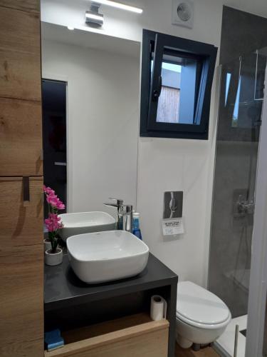 a bathroom with a sink and a toilet and a mirror at "Plus belle l'Ardèche" Studio de jardin et piscine in Vinezac