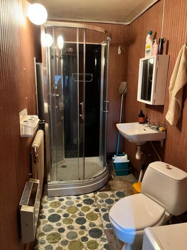 een badkamer met een douche, een toilet en een wastafel bij Christinagårdens stuga in Ramsele