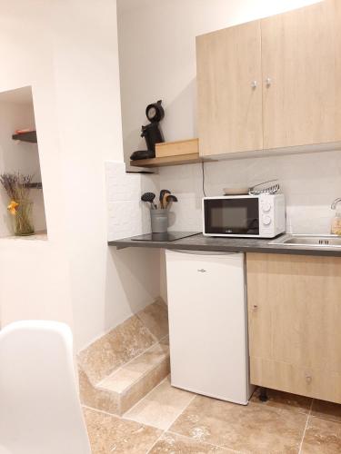 une cuisine avec un évier et un micro-ondes dans l'établissement Avignon studio cosy, à Avignon