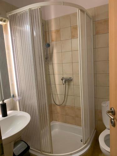 a bathroom with a shower and a toilet and a sink at Áron Apartman-Zalakaros in Zalakaros