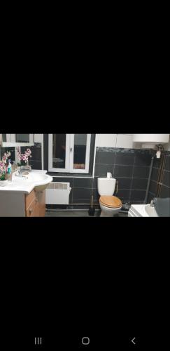une salle de bain avec deux lavabos et un WC dans l'établissement Appartement chaleureux au pied du tramway et à 10 mn de Valenciennes., à Denain