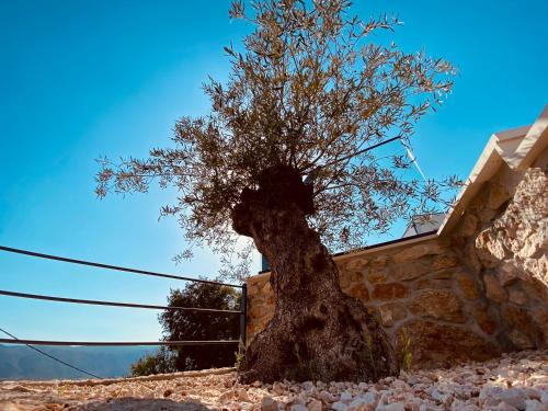 Φυσικό τοπίο κοντά σε αυτή η βίλα