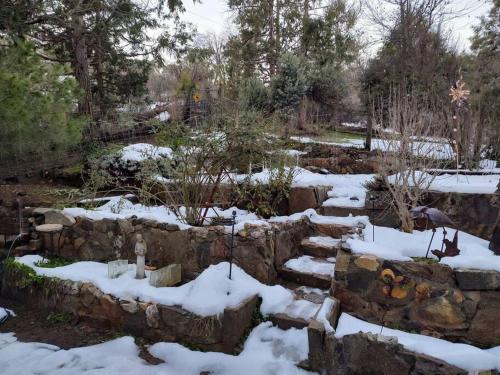 a snow covered garden with rocks and trees at O'Brien's Oasis in Miramonte