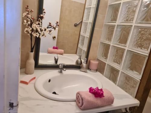 Koupelna v ubytování Studio Kreyol Lecusson