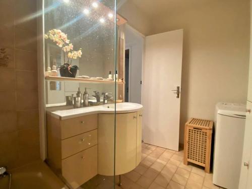 une salle de bain avec un lavabo et une douche dans l'établissement Charmant 2 pièces avec balcon exposé sud, proche centre-ville et télécabine – Briançon - FR-1-330C-131, à Briançon