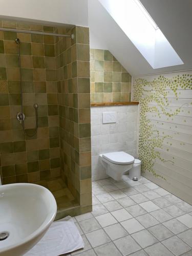 a bathroom with a toilet and a shower and a sink at Penzion Kovárna in Bukvice