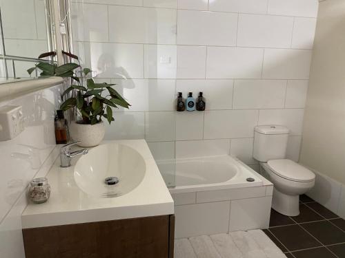 WinghamにあるWingham House - Pet Friendlyの洗面台とトイレを備えた白いバスルーム