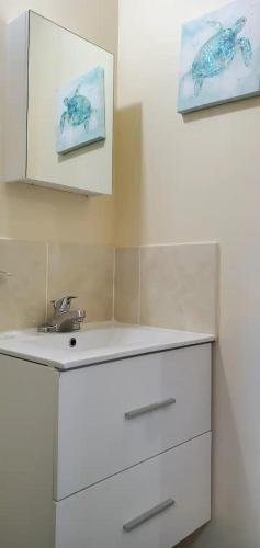 a bathroom with a white sink and a mirror at Hillside Sunrise, 2 Bed 2 Bath in Gated Community, close to beach, food, clubs & shopping Free Parking, Free Wi-Fi in Montego Bay