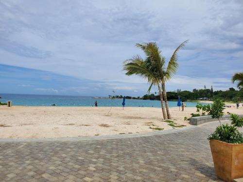 a beach with a palm tree and the ocean at Hillside Sunrise, 2 Bed 2 Bath in Gated Community, close to beach, food, clubs & shopping Free Parking, Free Wi-Fi in Montego Bay