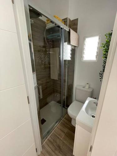 a bathroom with a shower and a toilet and a sink at Atico duplex con Terraza en pleno centro de Jerez in Jerez de la Frontera