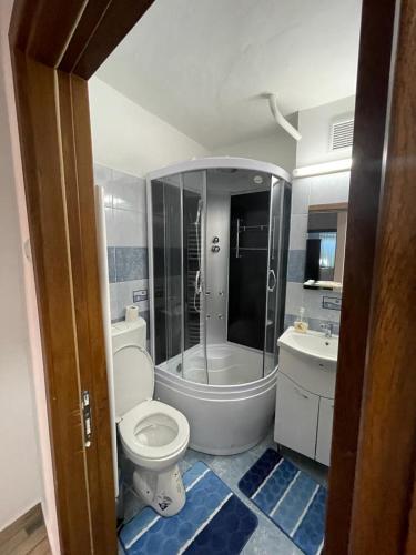 y baño con ducha, aseo y lavamanos. en Apartament Mioritza 2B en Horezu