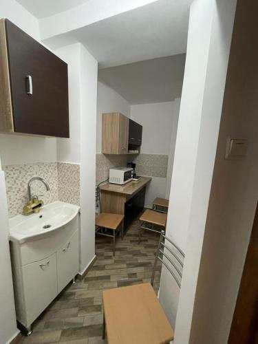 una pequeña cocina con fregadero y encimera en Apartament Mioritza 2B en Horezu