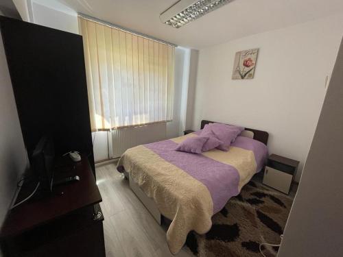 Postel nebo postele na pokoji v ubytování Apartament Mioritza 2A