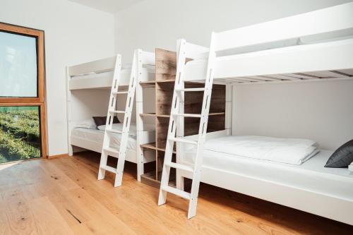 a room with two bunk beds and a window at Wine paradise Glavinič in Miklavž pri Ormožu