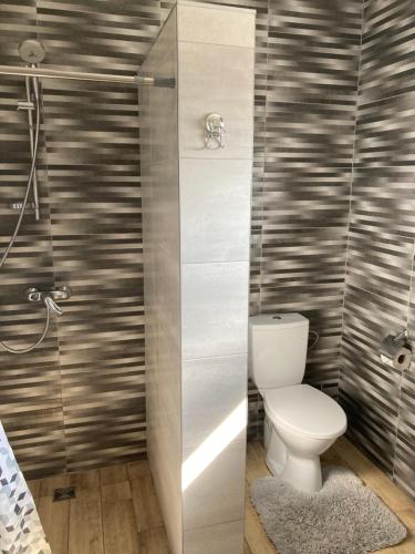 a bathroom with a toilet and a shower at Domo Vila in Druskininkai
