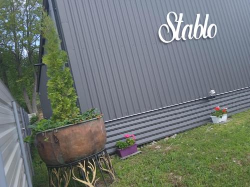 a garden with two potted plants next to a building at Stablo guest house in Bărăşti