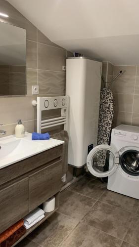 une salle de bain avec un lavabo et une machine à laver dans l'établissement Appartement rue de Provence, à Avignon