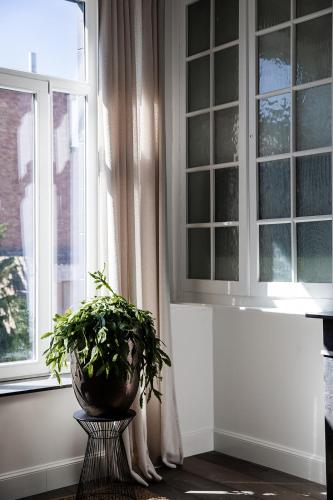a plant sitting on a stand in front of a window at Villa Ostinato in Ostend