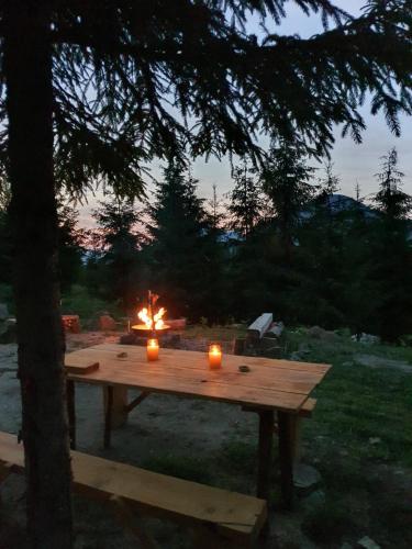 Landskap semula jadi dekat dengan chalet