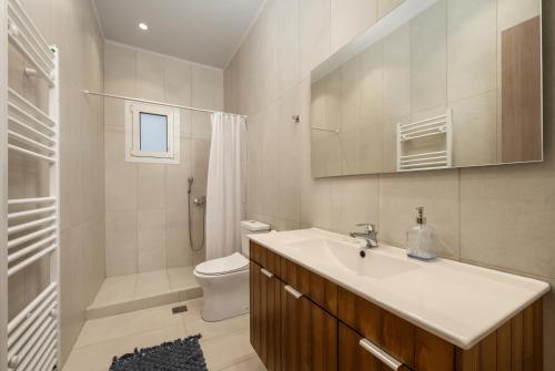 a bathroom with a sink and a toilet and a shower at Evi's comfy house in Kontokali