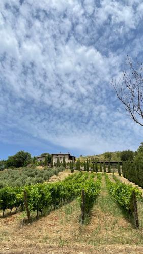 Feudi Enchestre B&B Agropoli – Photos 3
