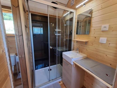 a bathroom with a shower and a sink and a mirror at La roulotte du tonnelier in Castelnau-de-Montmiral