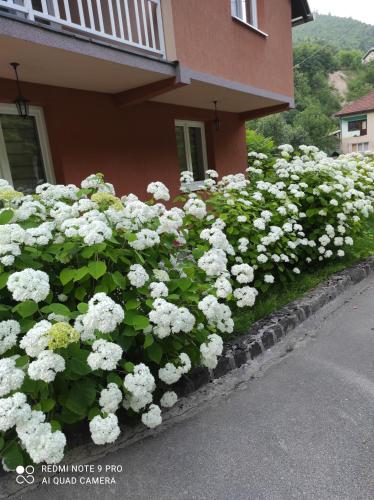 Galería fotográfica de Demmir en Travnik