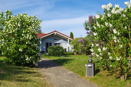 StuerにあるLevkeの花木と歩道のある家