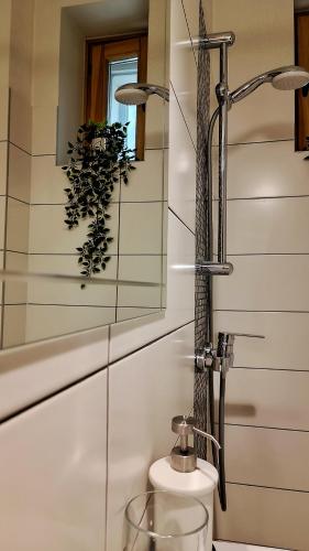 a bathroom with a toilet and a mirror at Vintage Anna Apartment in Kuldīga