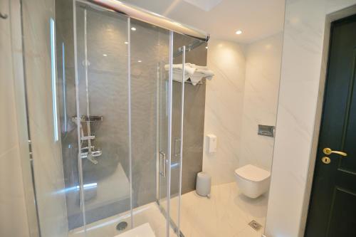 a bathroom with a shower and a toilet at Maria Beach Hotel in Kissamos