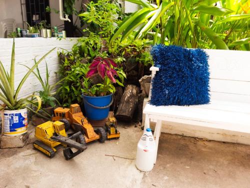 a bench with a toy bulldozer next to plants at Casa Zaida Hostal Vintage in Ríohacha