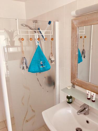 une salle de bain avec une douche avec un lavabo et un miroir dans l'établissement TY JACQ, à Tréguennec